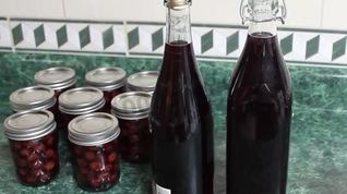 Рецепт Домашней настойки на вишне на самогоне