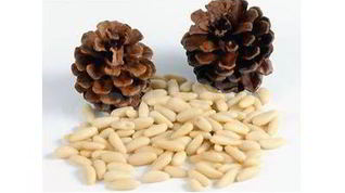 Рецепт Кедровой настойки на орехах