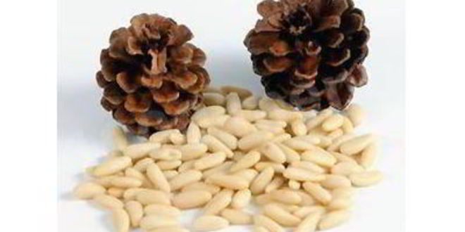 Рецепт Кедровой настойки на орехах