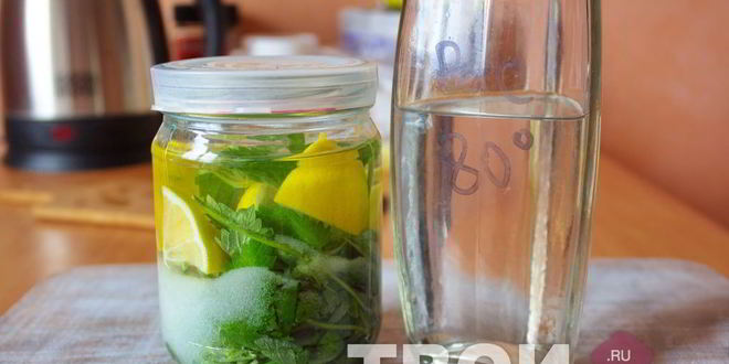 Рецепт мятной настойки