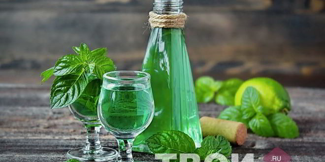 Рецепт мятной настойки