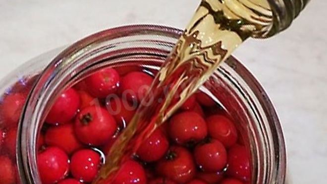 Рецепт настойки из ирги на водке