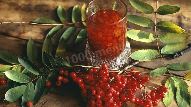 Рецепт настойки из красной рябины