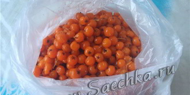 Рецепт настойки из рябины