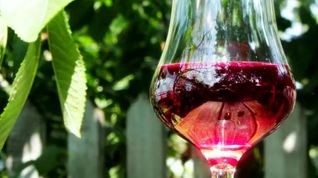 Рецепт Настойки из вишни на спирту Домашняя