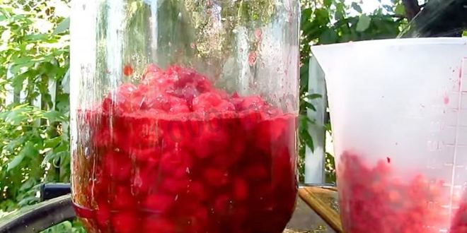 Рецепт настойки из вишни на спирту домашняя