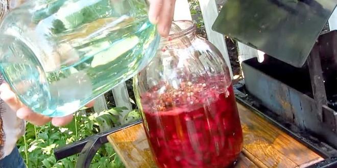 Рецепт настойки из вишни на спирту домашняя