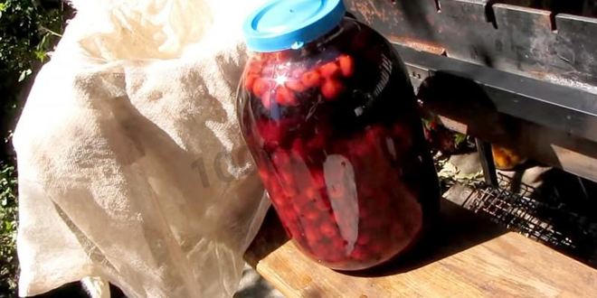 Рецепт настойки из вишни на спирту домашняя