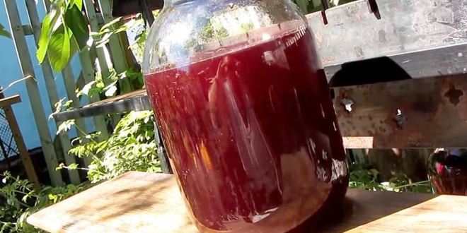 Рецепт настойки из вишни на спирту домашняя