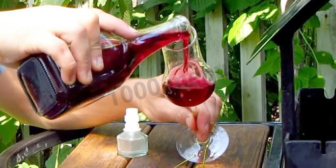 Рецепт настойки из вишни на спирту домашняя