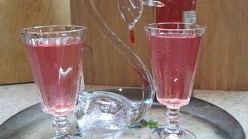 Рецепт Настойки на рябине