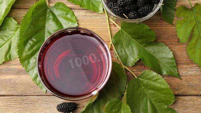 Рецепт настойки шелковицы