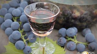 Рецепт Виноградной настойки Пряно-пьяная Изабелла