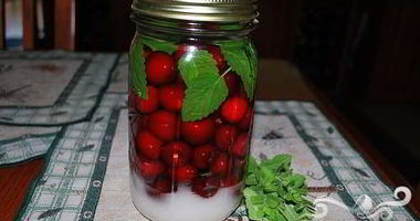 Рецепт Вишневой настойки