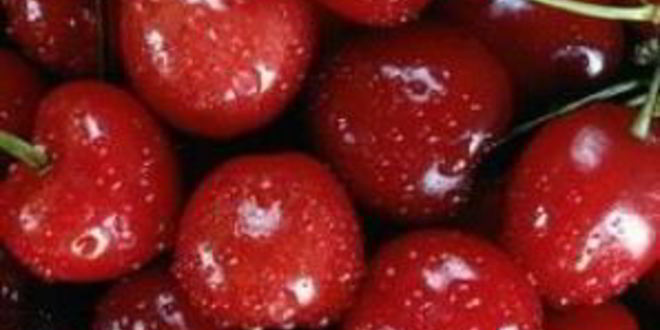 Рецепт вишневой настойки