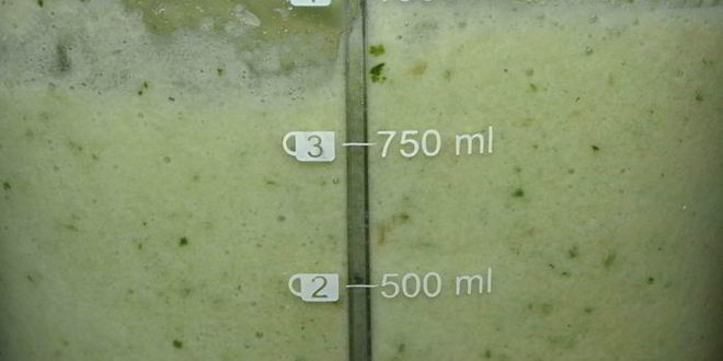 Рецепт яблочного смузи с кабачком и сельдереем