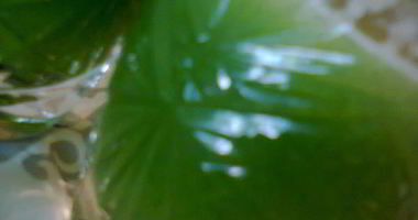 Рецепт Овощного сока Зеленого