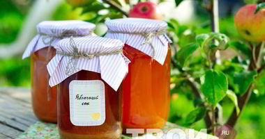 Рецепт Пастеризованного яблочного сока