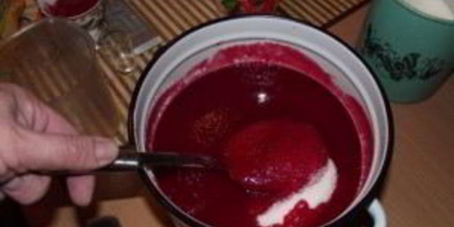 Рецепт сока из калины