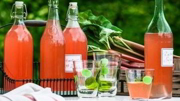 Рецепт Сока из ревеня