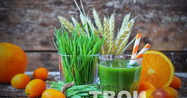 Рецепт Сока из ростков пшеницы