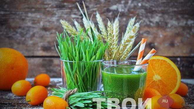 Рецепт сока из ростков пшеницы