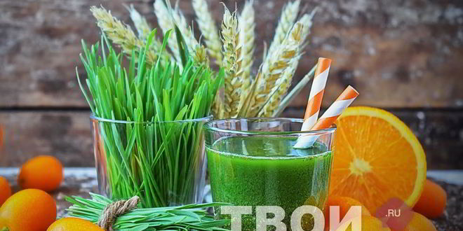 Рецепт сока из ростков пшеницы