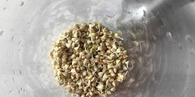 Рецепт томатного сока с зеленой гречкой, сельдереем и сметаной