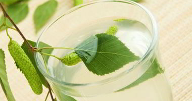 Рецепт Вина из березового сока