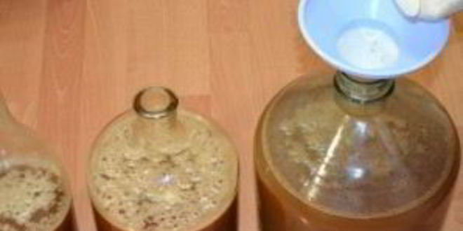 Рецепт вина из яблок