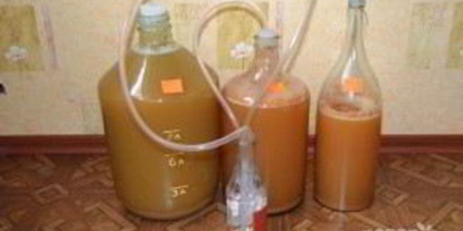 Рецепт вина из яблок