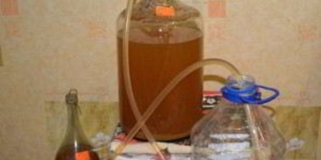 Рецепт вина из яблок