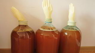 Рецепт Яблочного вина