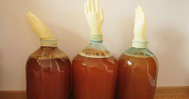 Рецепт Яблочного вина