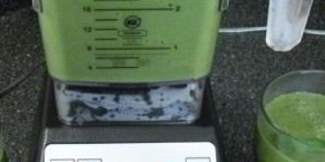 Рецепт зеленого витаминного напитка благо