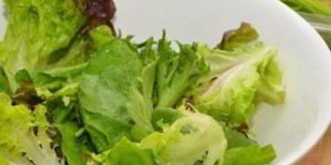 Рецепт греческого салата с креветками