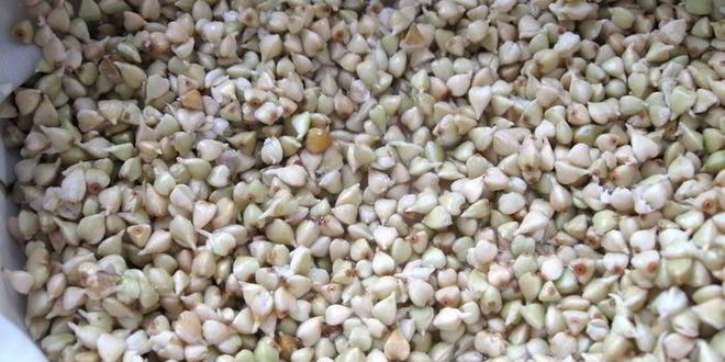 Рецепт салата с проростками зеленых зерен гречихи и гранатом