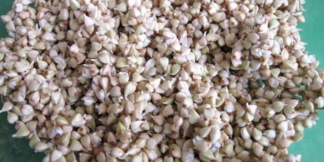 Рецепт салата с проростками зеленых зерен гречихи и гранатом