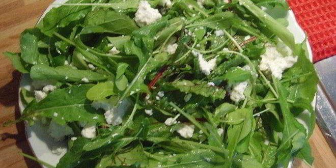 Рецепт картофельно-яблочного салат с козьим сыром и грецким орехом