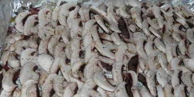 Рецепт печени под шубой