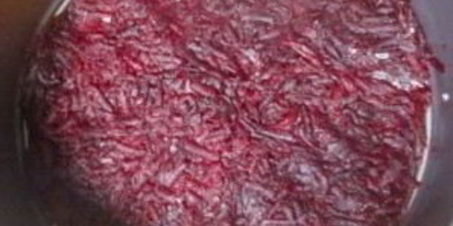 Рецепт салата сельдь под шубой