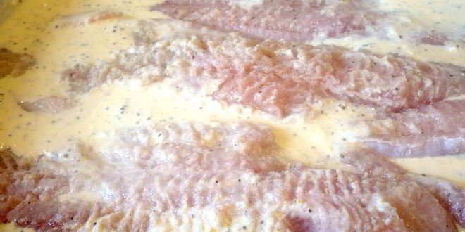 Рецепт запеченной рыбки под шубой из пармезана и хлебной крошки