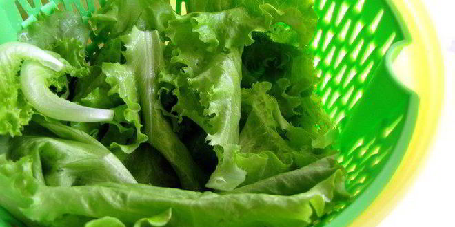 Рецепт салата с мясом, киви и горчично-апельсиновым соусом