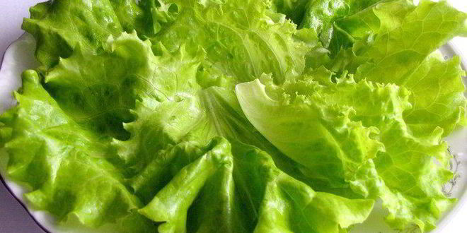 Рецепт салата с мясом, киви и горчично-апельсиновым соусом