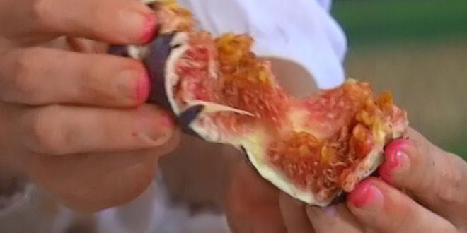 Рецепт салата со свеклой, инжиром и кедровыми орешками