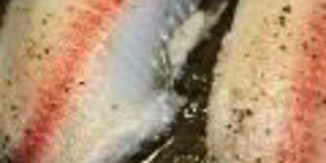 Рецепт салата цезарь морской