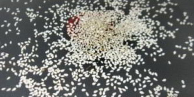 Рецепт бальзамического соуса для салата