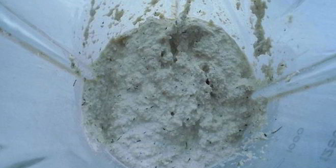 Рецепт майонеза из подсолнечных семечек