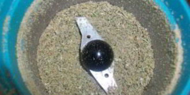 Рецепт маринада для мяса