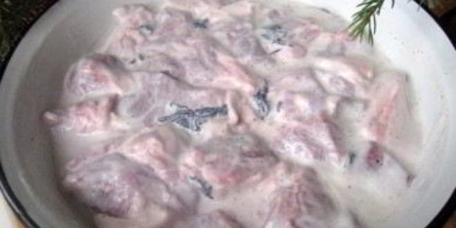 Рецепт маринада из кефира для свинины